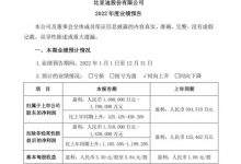 同比425% 比亚迪预计2022年净利超160亿-透彻科技