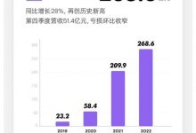 总收入268.6亿 小鹏汽车发布2022年财报-透彻科技