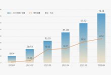 同比增56% 奇瑞集团上半年销量超74万辆-透彻科技