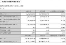 长安汽车半年报：净利润同比增长三成-透彻科技