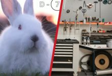 疑似高尔夫GTI 大众神秘车型9月3日亮相-透彻科技