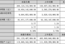 新能源营收大增 比亚迪发布上半年财报-透彻科技