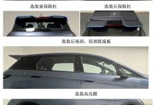 纪念50万辆 海豚纪念版今日下线并上市-透彻科技