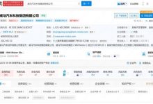 总金额超1亿元 威马汽车申请破产审查-透彻科技