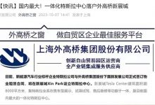 国内最大一体化特斯拉中心将落户上海-透彻科技