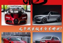 车企如何迎新年 龙年限量版车型盘点-透彻科技