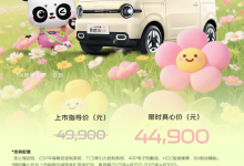限时抢购价为4.49万/续航210公里 2025款熊猫mini元气熊上市-透彻科技